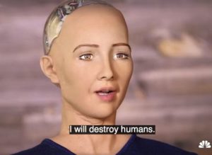 Humanoid Robot
